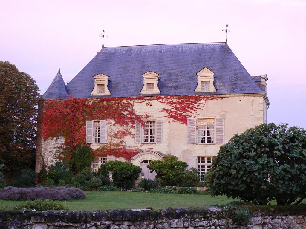 Gite Chateau de Chaintres Dampierre-sur-Loire Cameră foto