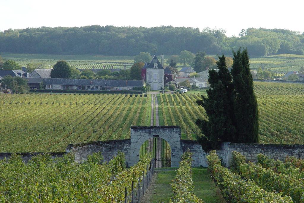 Gite Chateau de Chaintres Dampierre-sur-Loire Cameră foto